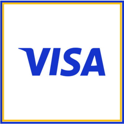 Visa other logo