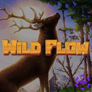 Wild Flow Habanero Slot Image