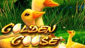 Golden Goose