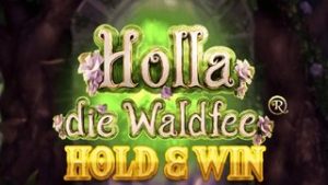 Holla die Waldfee Hold & Win
