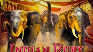 Indian Ruby