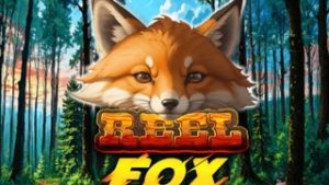 Reel Fox