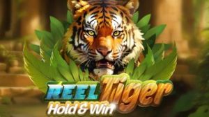 Reel Tiger