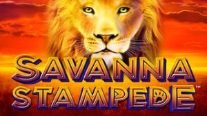 Savanna Stampede