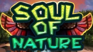 Soul of Nature