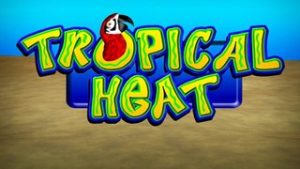 Tropical Heat