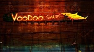 Voodoo Shark