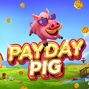PayDay Pig game