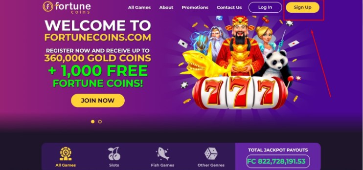 Visit the Fortune Coins Website