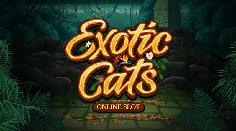 Exotic-Cats-slot game