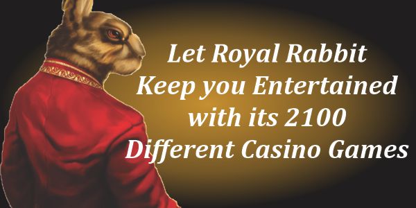 Let Royal Rabbit keep you entertained