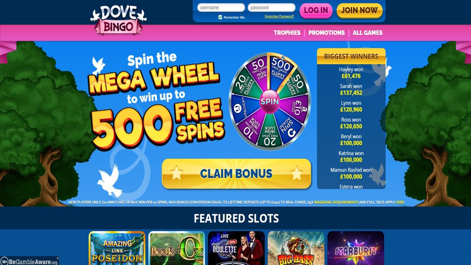 Dove Bingo Casino Screenshot