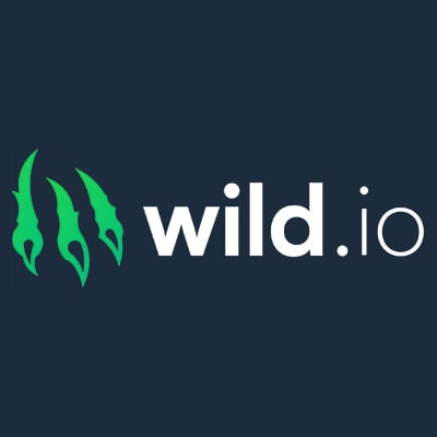 Wild.io Casino logo