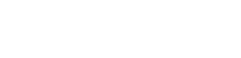 visa logo white