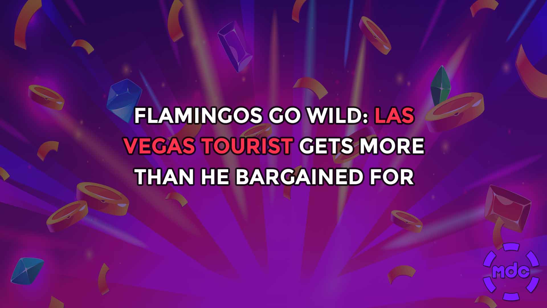 Flamingos Go Wild: Las Vegas Tourist Gets More Than He Bargained For