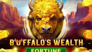 Buffalo’s Wealth Fortune
