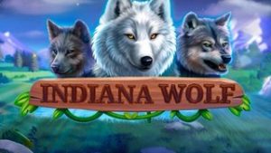 Indiana Wolf