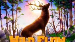 Wild Flow
