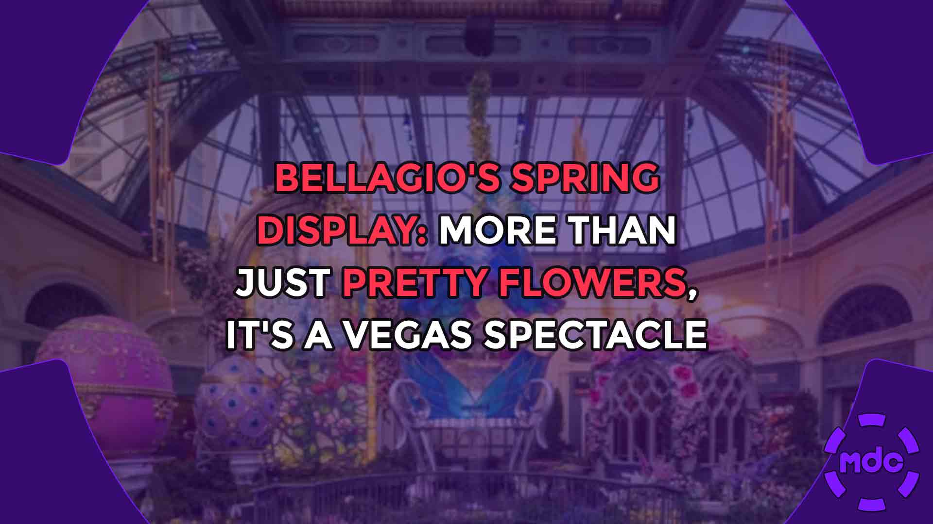 Bellagio's Spring Display: More Than Just Pretty Flowers, It's a Vegas Spectacle